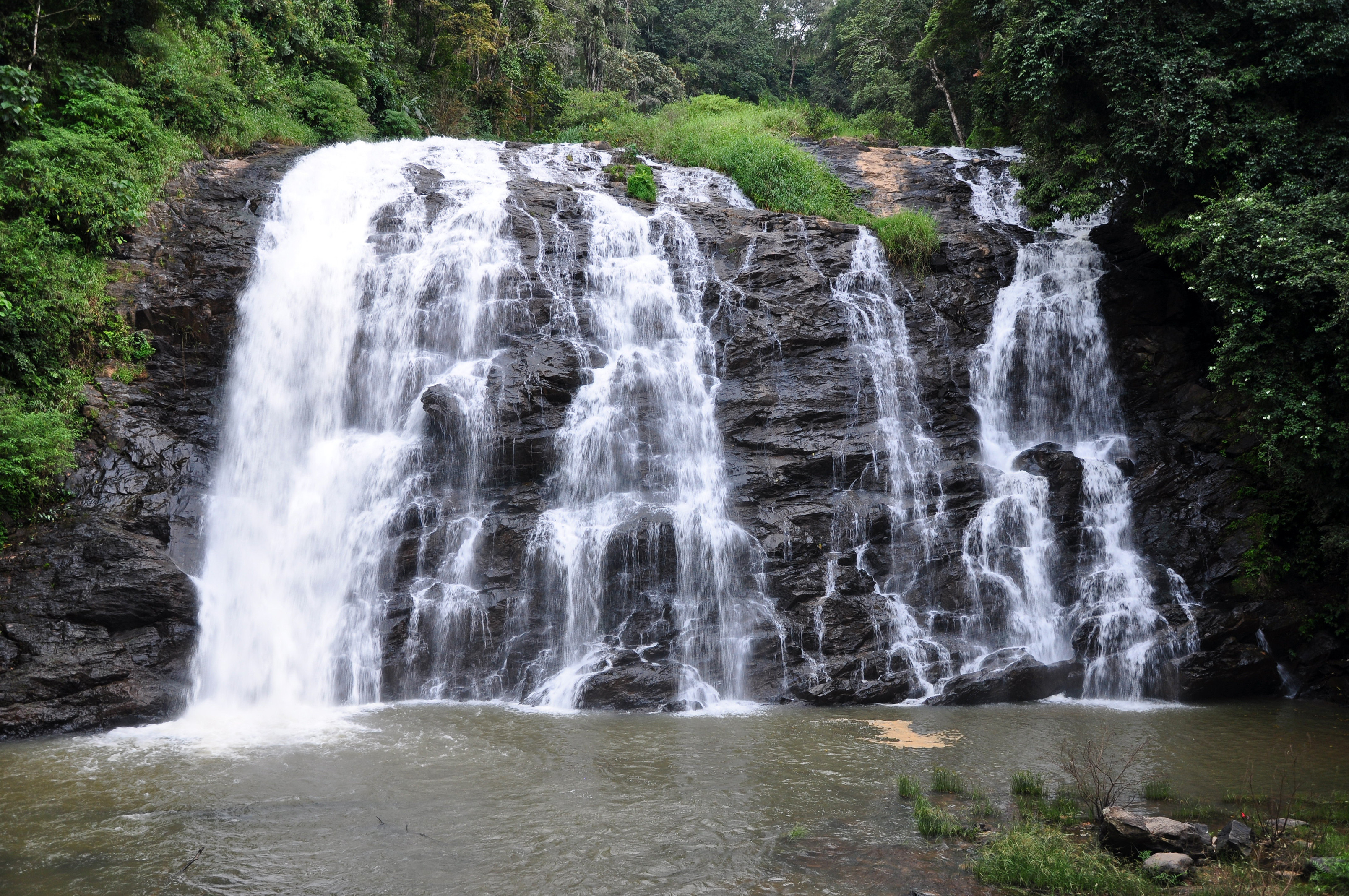 Bangalore to Coorg Tour Package