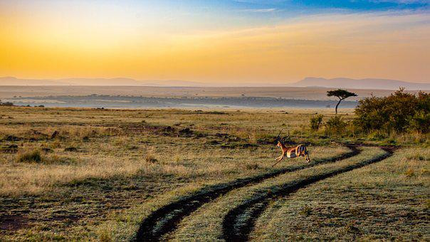 Exceptional Kenya Tour Package