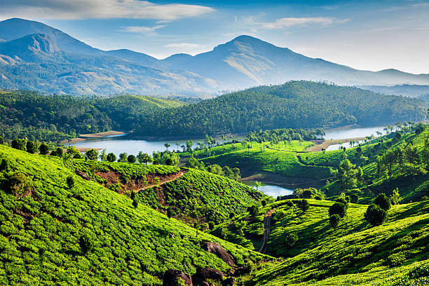 Best Selling Coorg Tour Packages For An Extraordinary Vacation In South