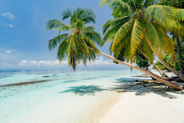 Sheraton Maldives Honeymoon Packages