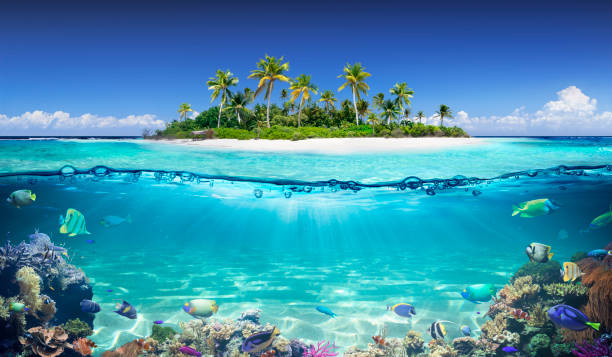 Exquisite Maldives Water Villa Package