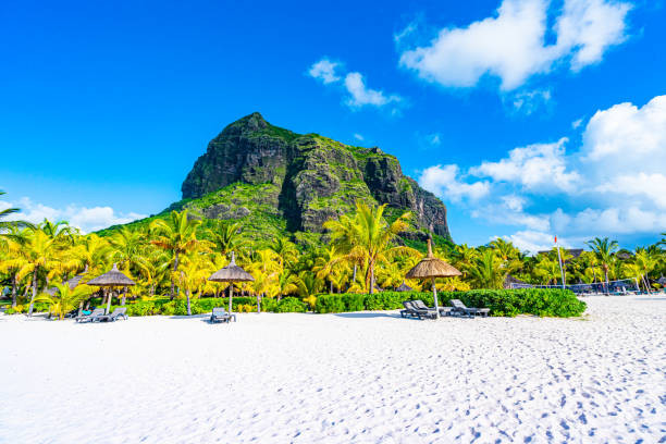 Endearing Mauritius Family Tour Package