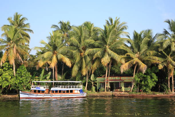 Exciting Munnar Alleppey Honeymoon Package From Bangalore