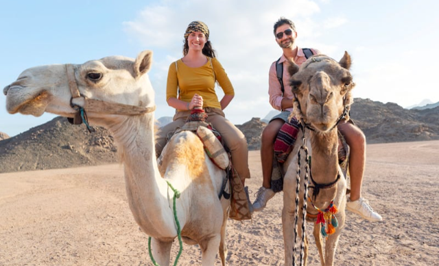 Splendor of Dubai Honeymoon Package