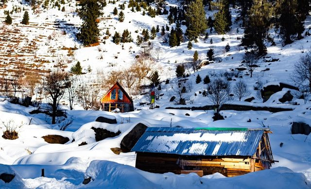 Best 7 Nights 8 Days Himachal Honeymoon by Cab for an Amazing Experience