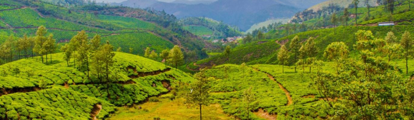 Munnar Family Tour Packages